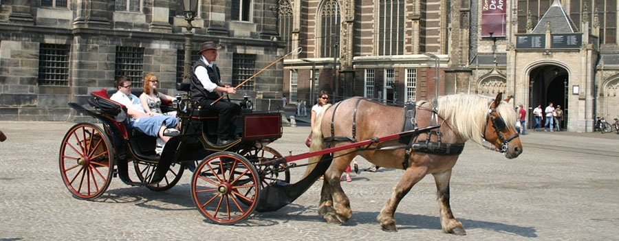 BOOK TAXI AMSTERDAM